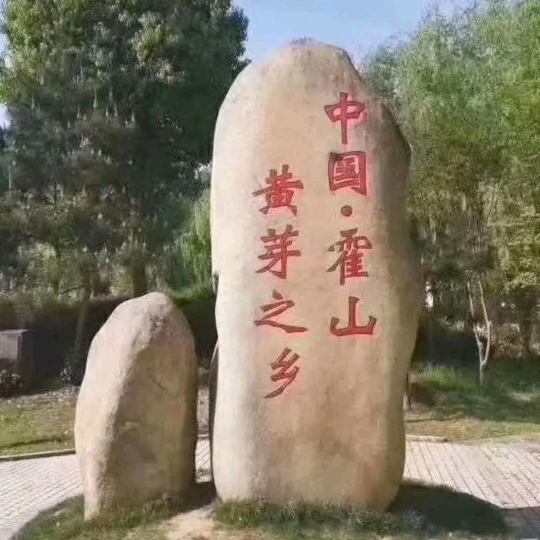 张贵兵