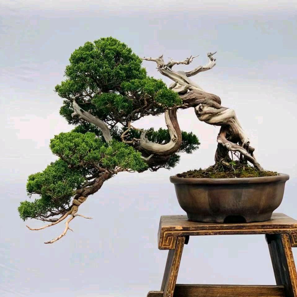 沭阳县好花好苗花卉园艺场