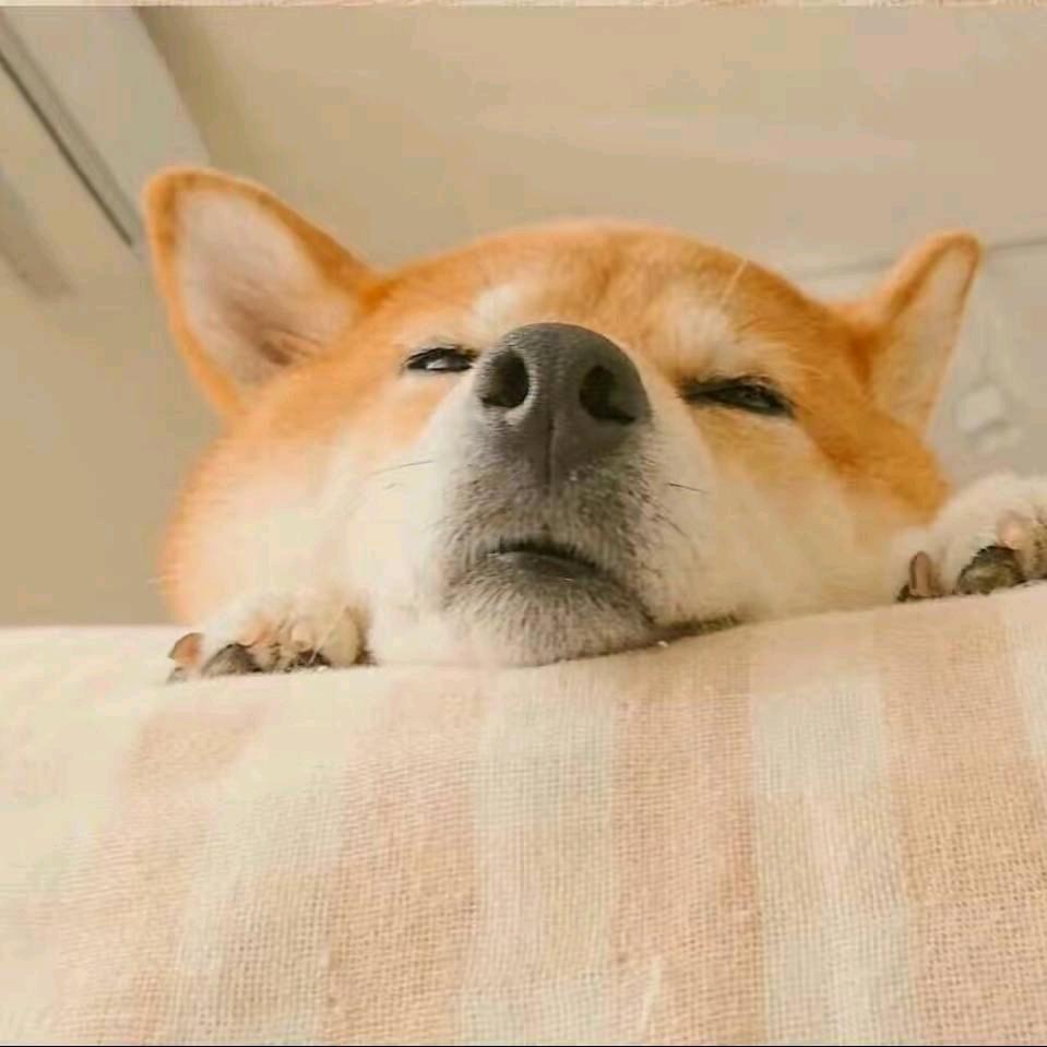 篝火