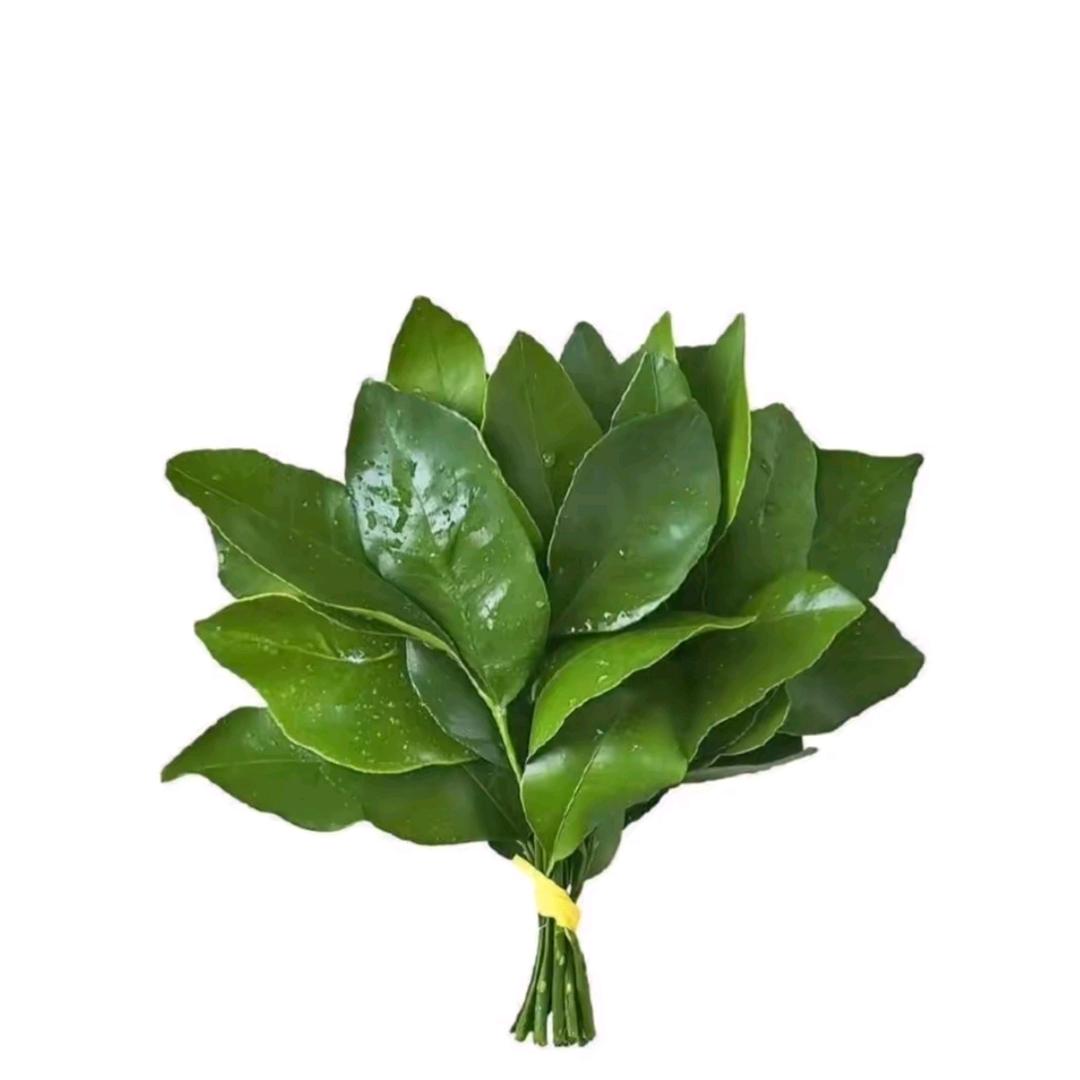 ঞᩚ᭄兜里💞半颗糖