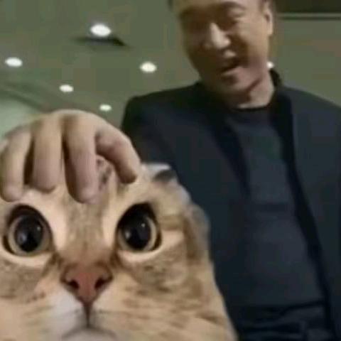 シンイェ・ノザン