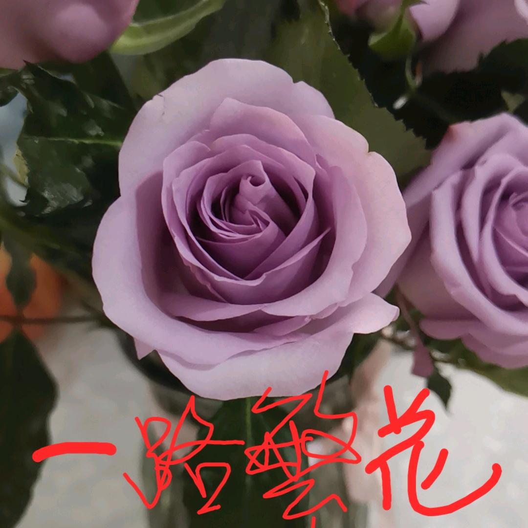 幸运姐