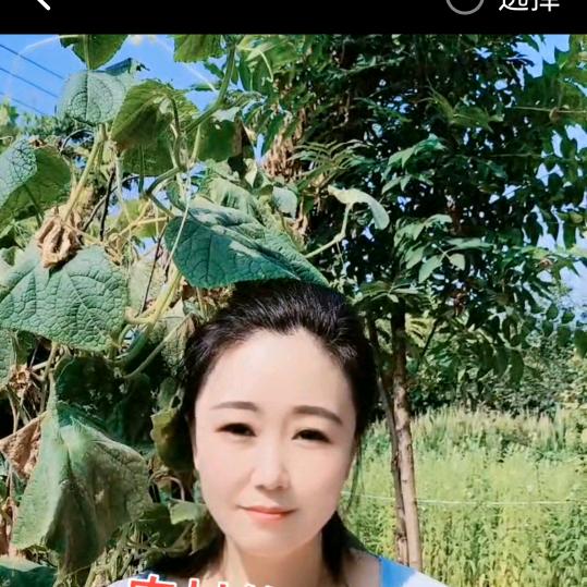 @傻心（遇一人白首择一城终老）