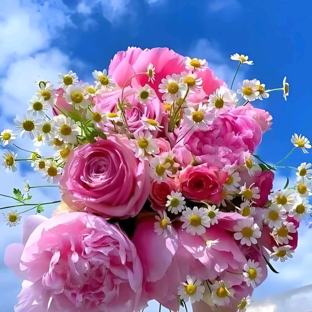 花卉绿植园艺818