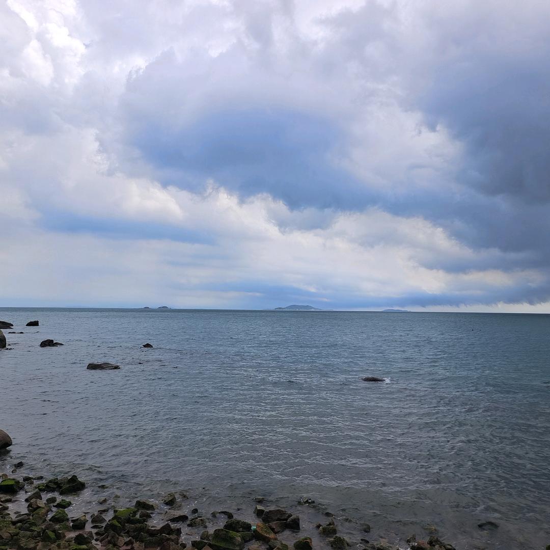 爱唱歌的小叶子