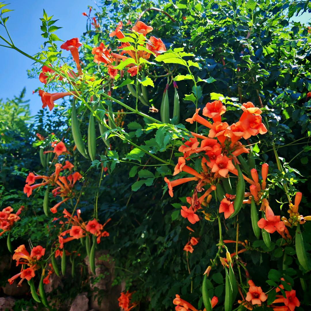 随心而动开心行