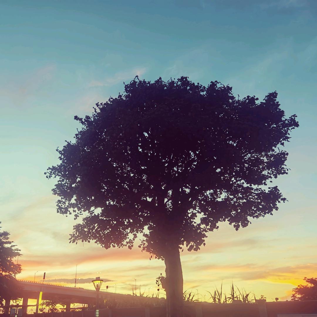 云过的心情驿站