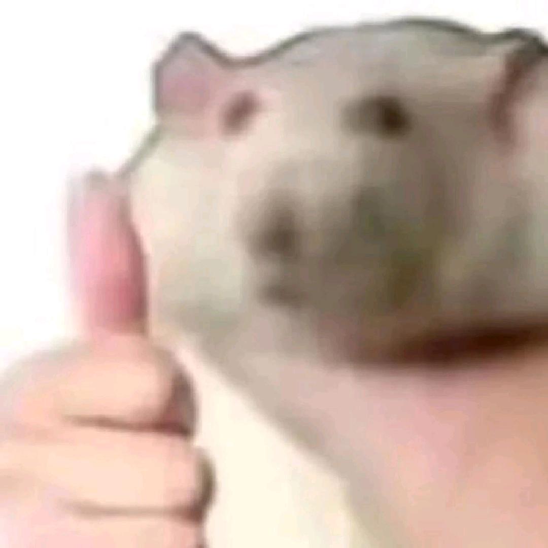 困得想鼠