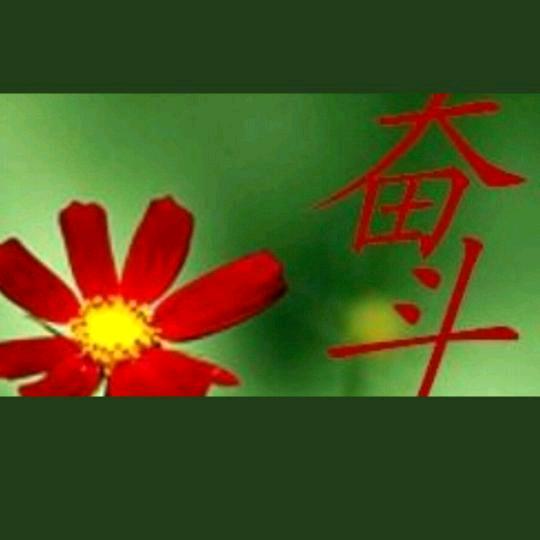 十壹💞࿐零度ઈོ温柔💞