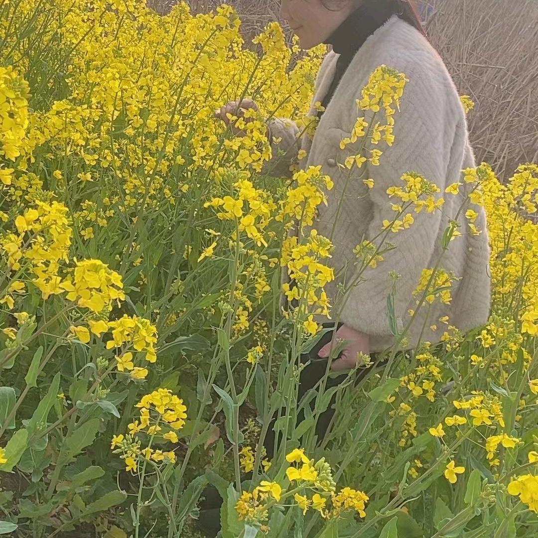 刘姐