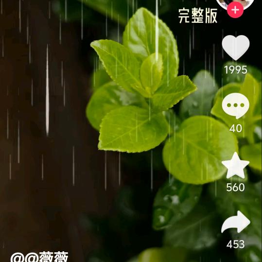 爱❤️永恒