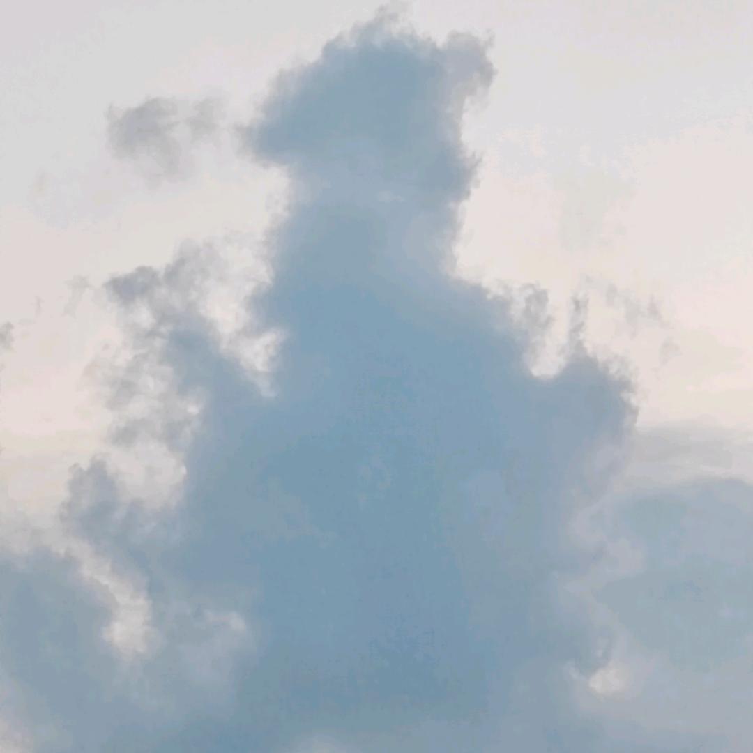 🌺🌺🌺蝜蝂