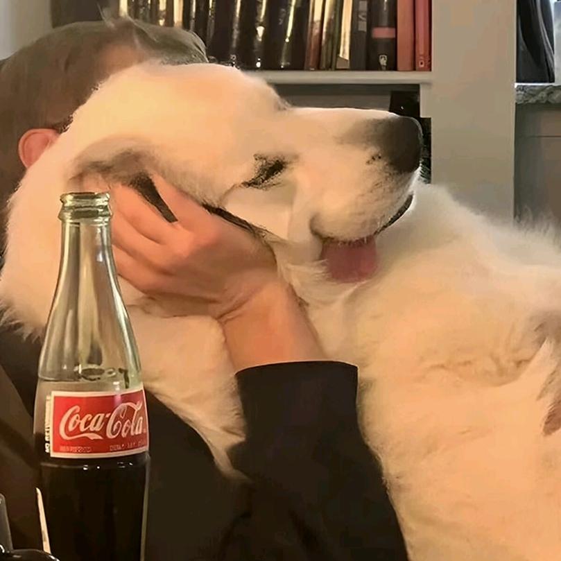 充癫宝（鹿溪传媒）