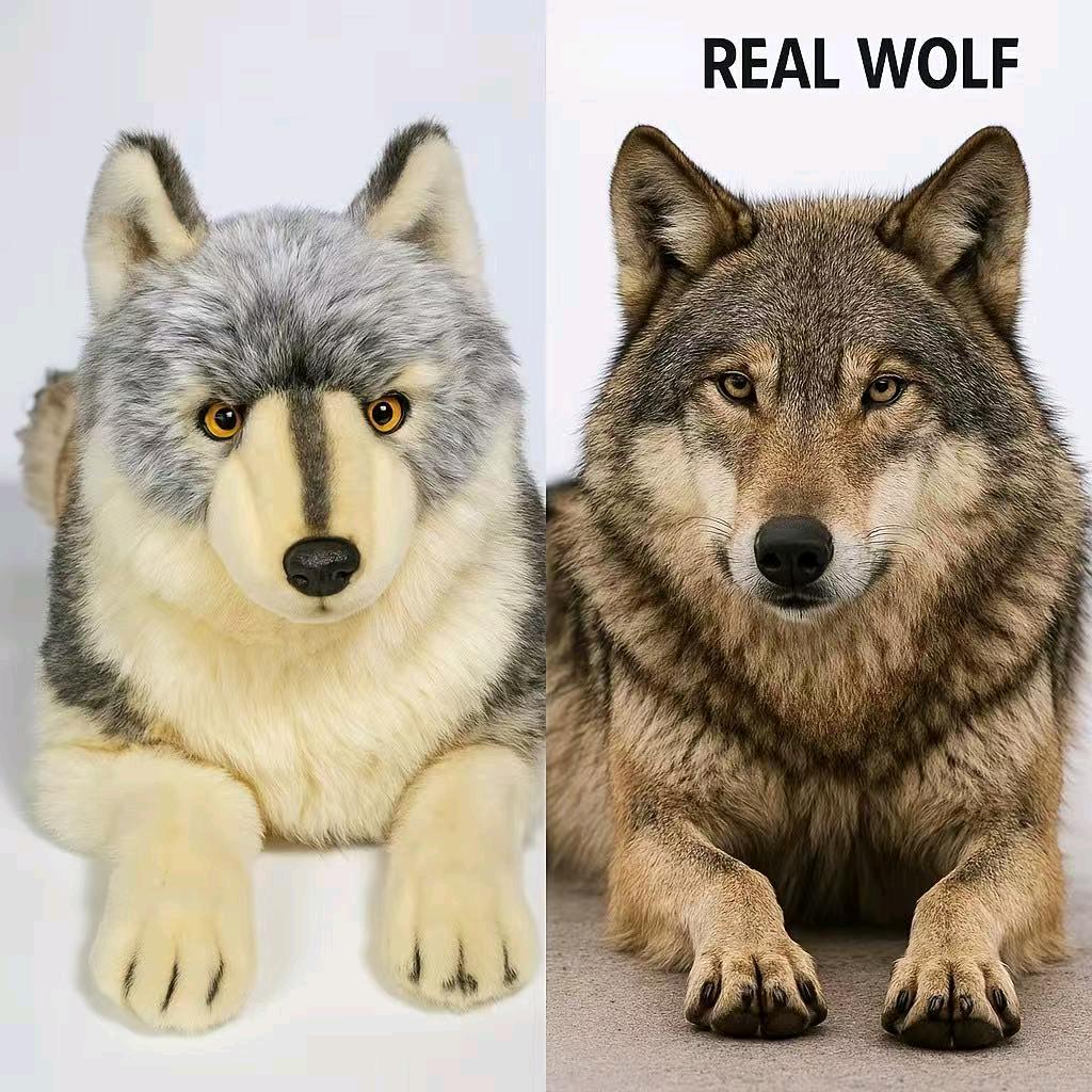 仿真毛绒玩偶精品铺