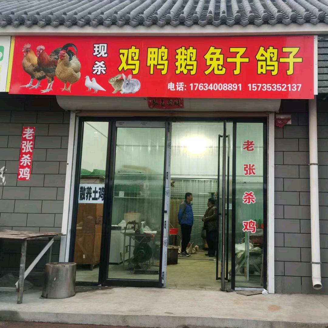 老张活鸡批发零售店（山西垣曲友谊市场）