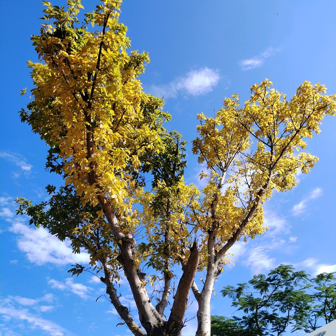 海口验房师阿正