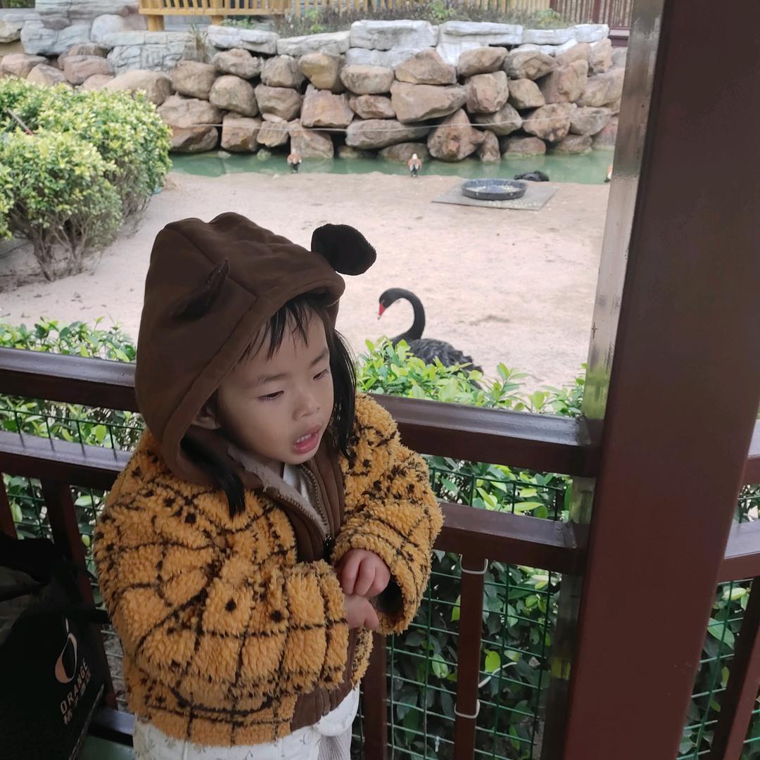 乐乐妈