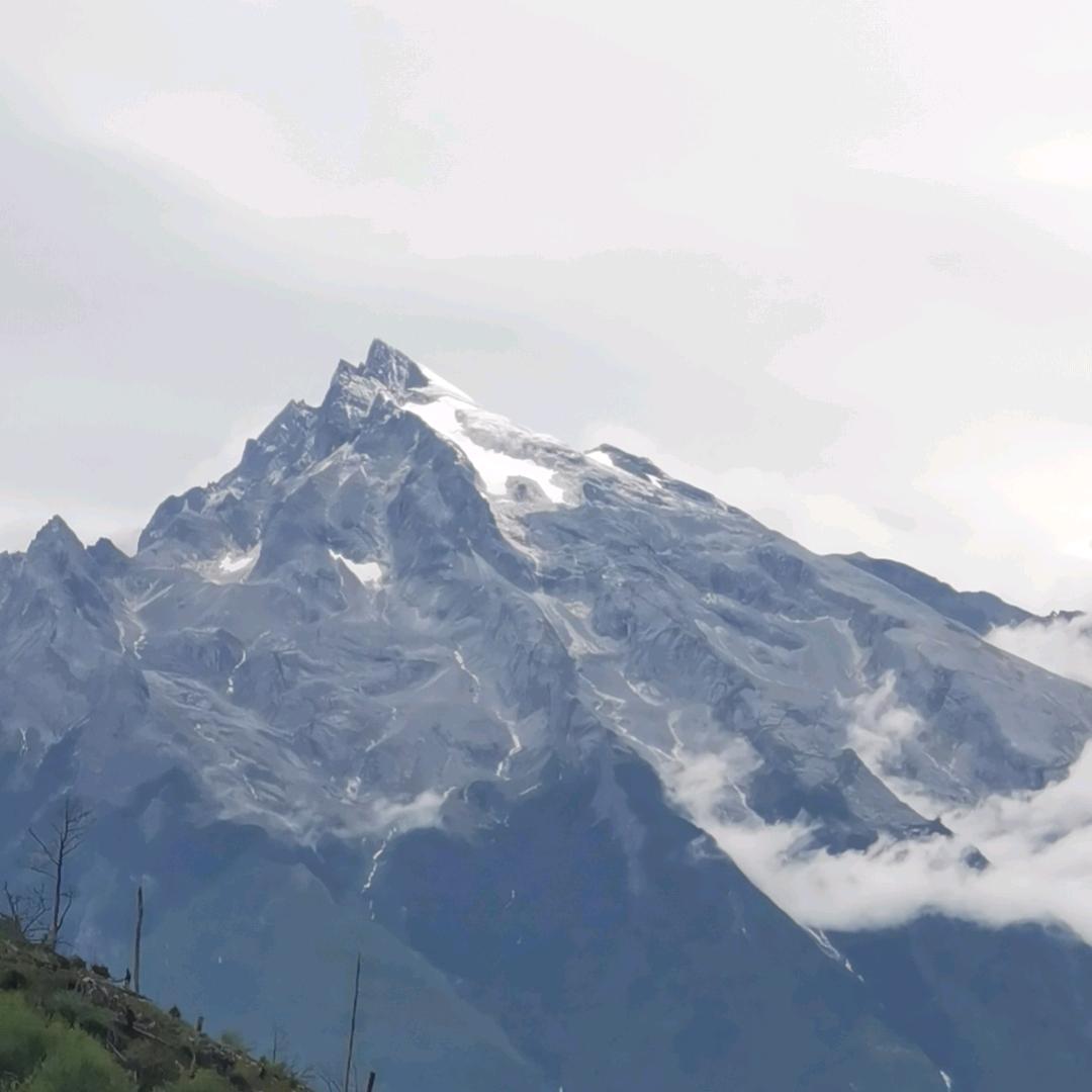 歸᭄ꦿ零࿐⁵²⁰