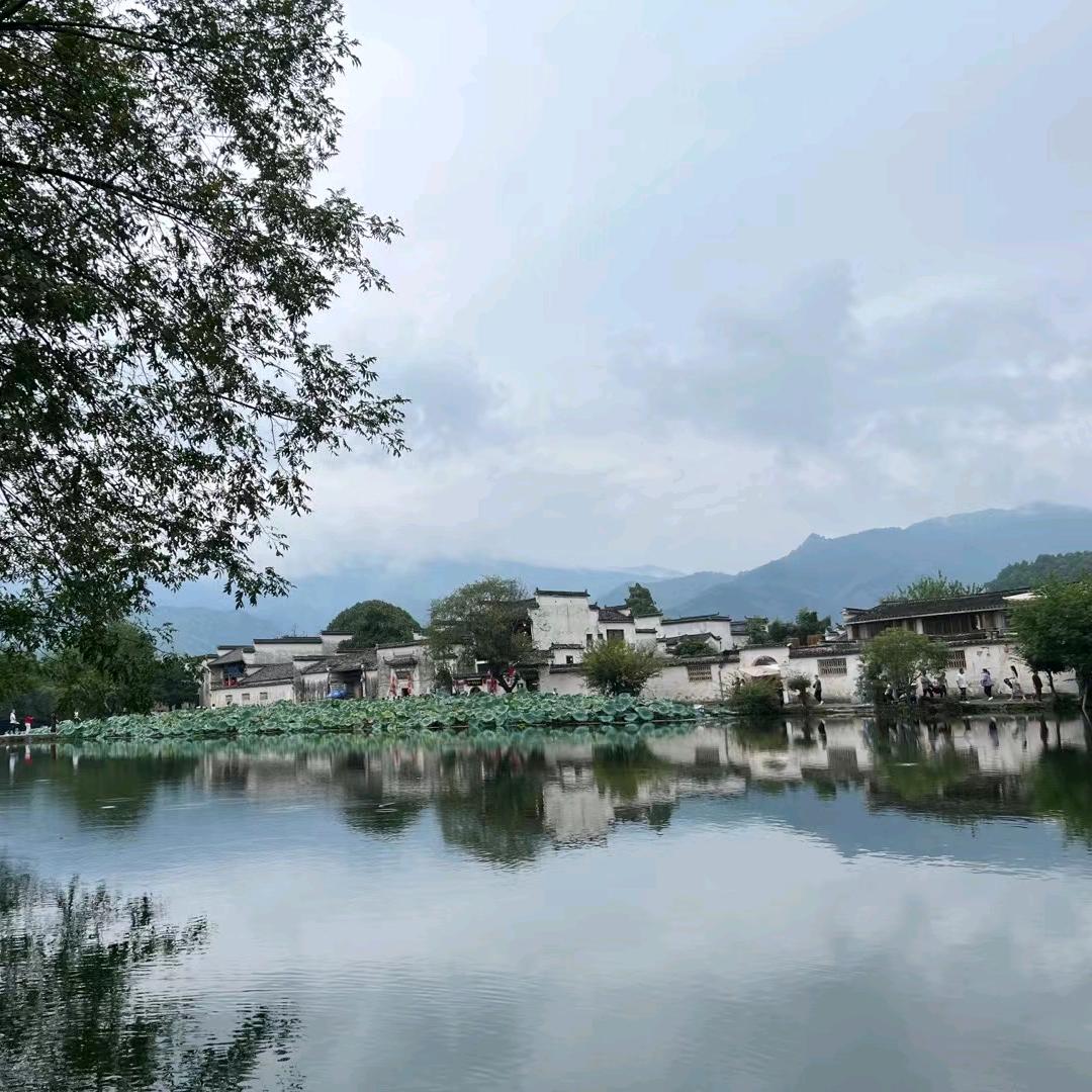 ✨灵慧可人✨