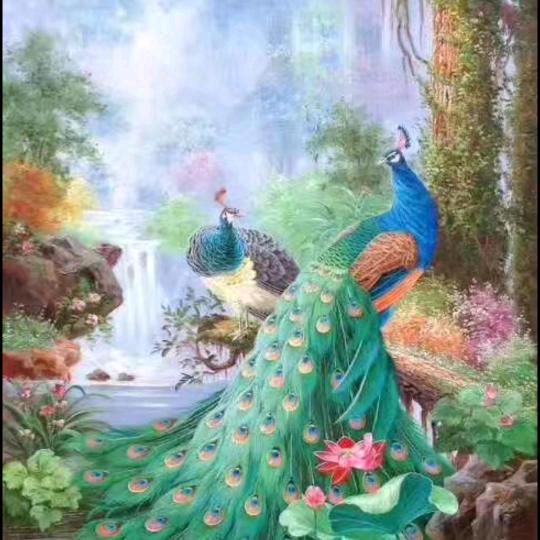 🌷和美女做生意🌷