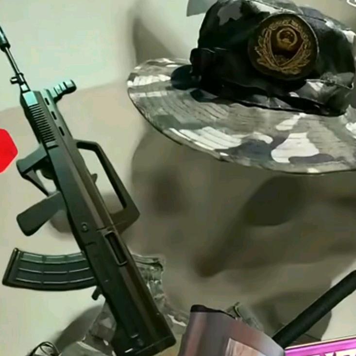 向冬.
