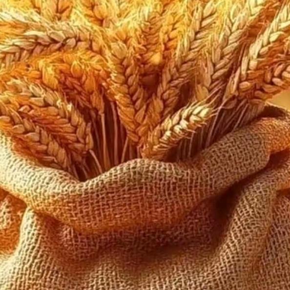 九紫°离🔥时来运转