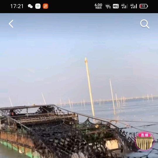 明天会更好