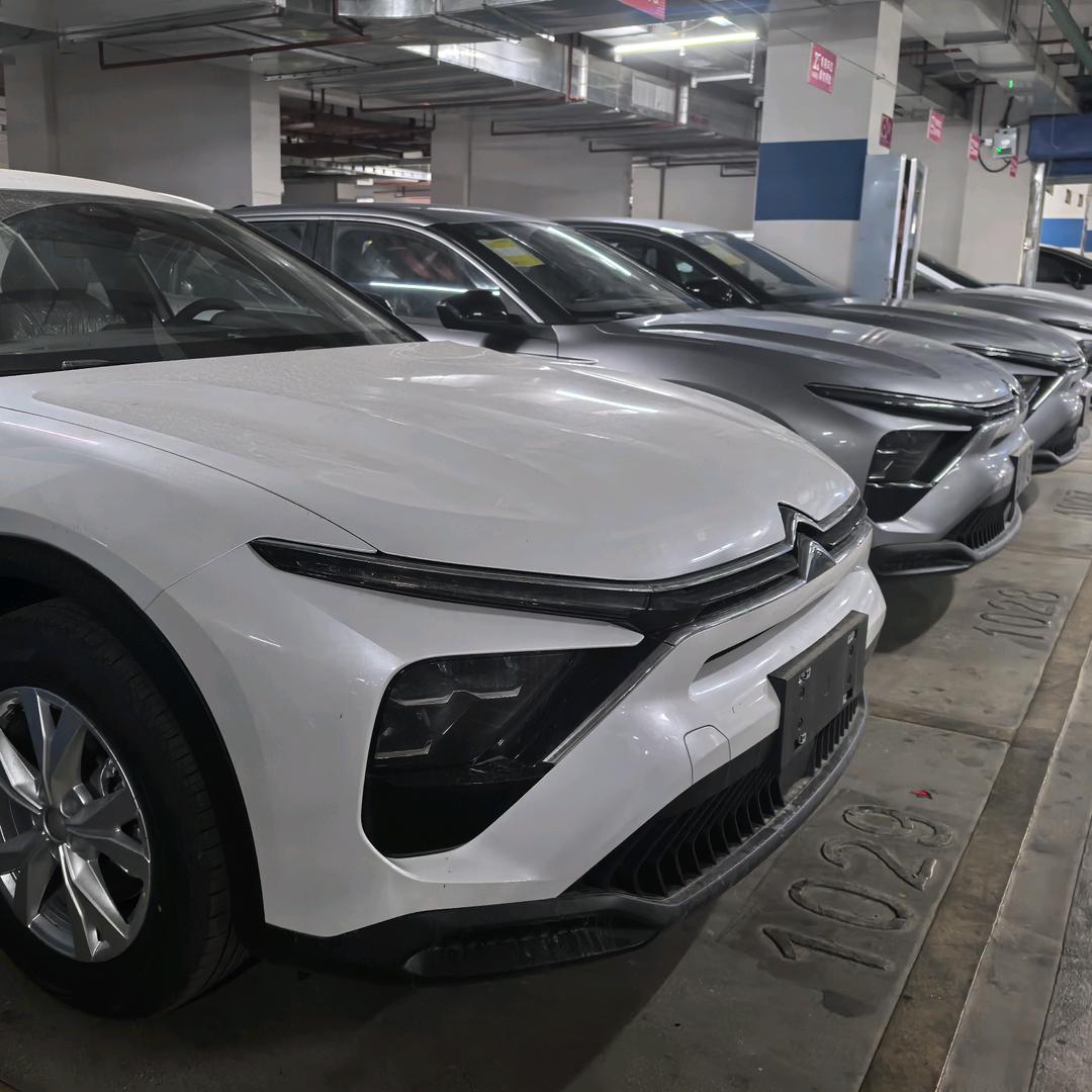 法系新车(東燊)