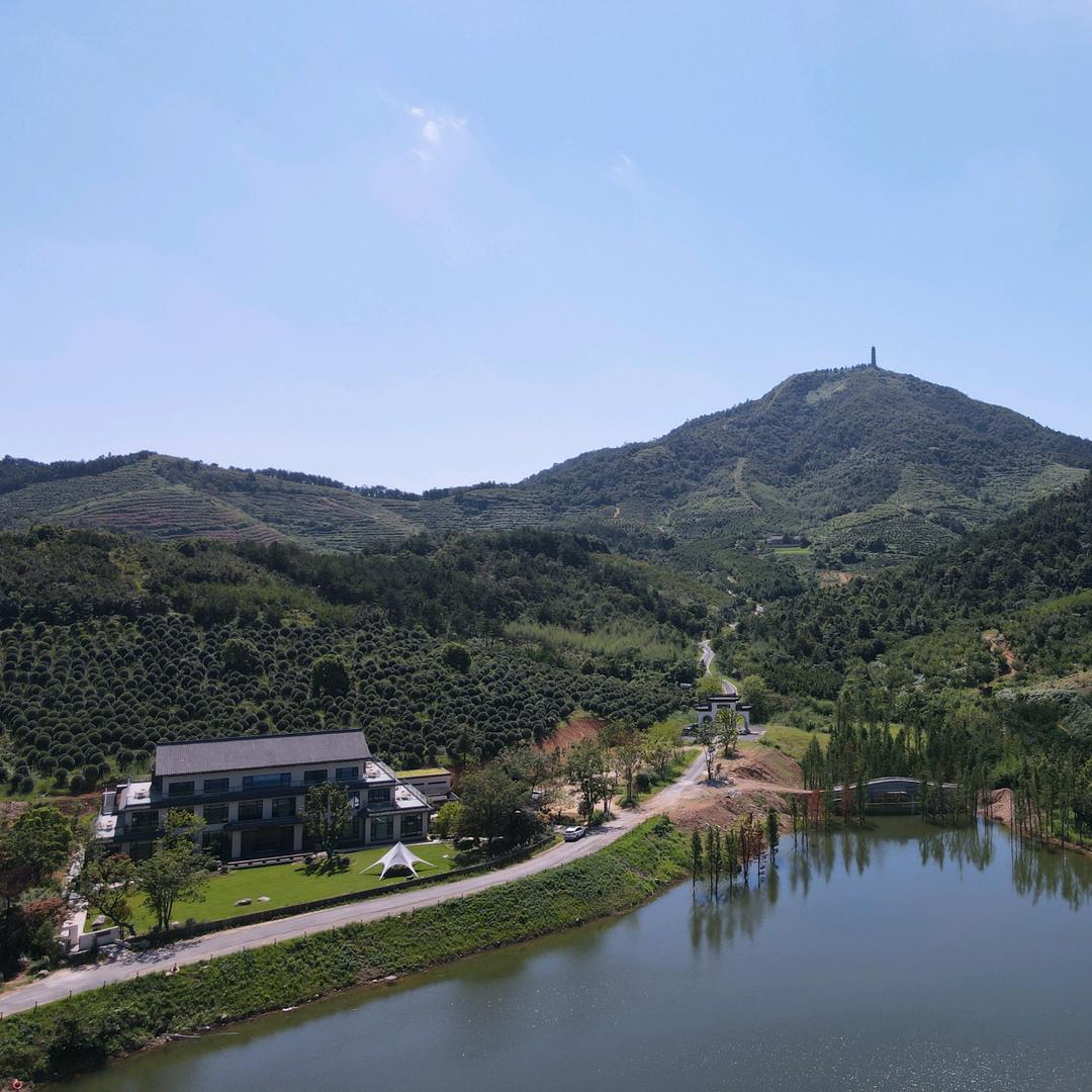 大岗印象（冶父山村书记助农、文旅推介）