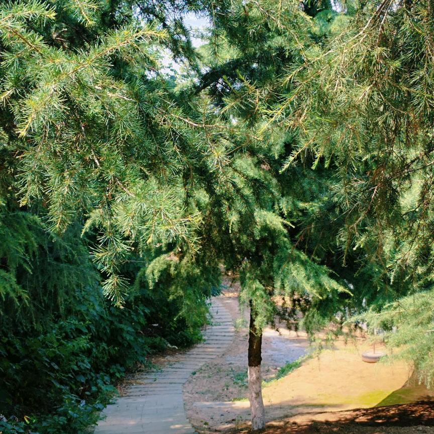 花开花落知多少