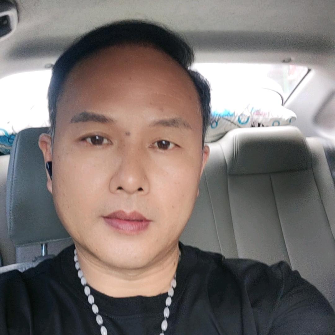 雁南飞