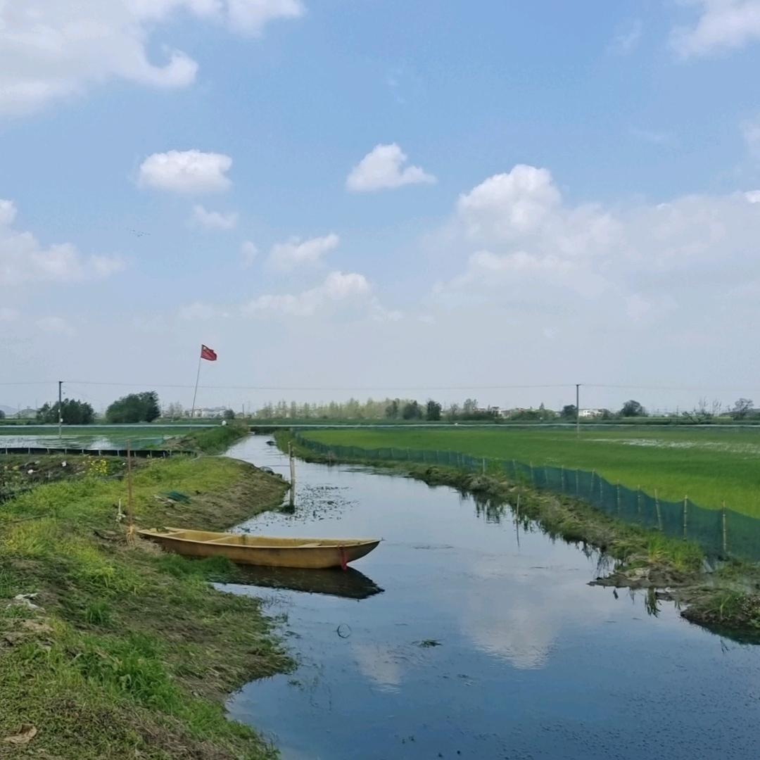 虾贱贱（高温虾养殖）
