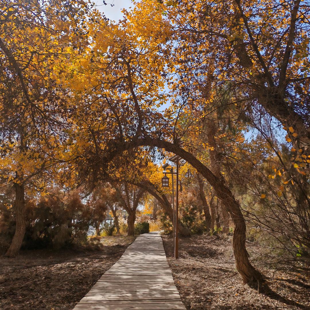 喀什南疆游《追风》
