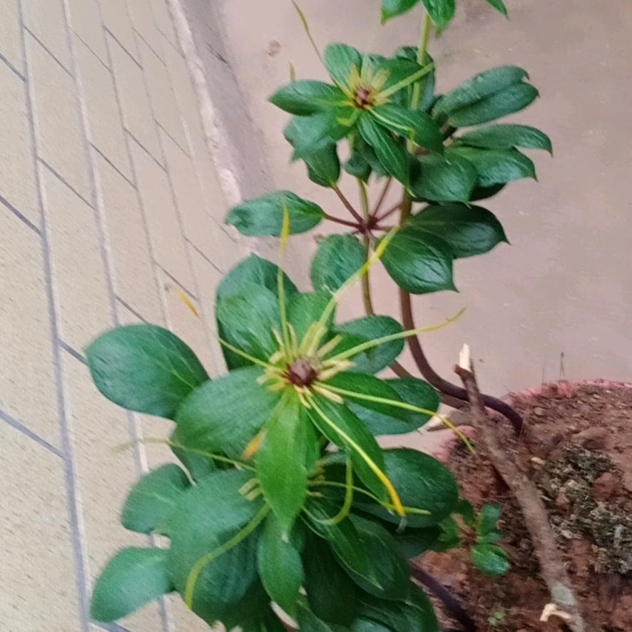 一人奋斗