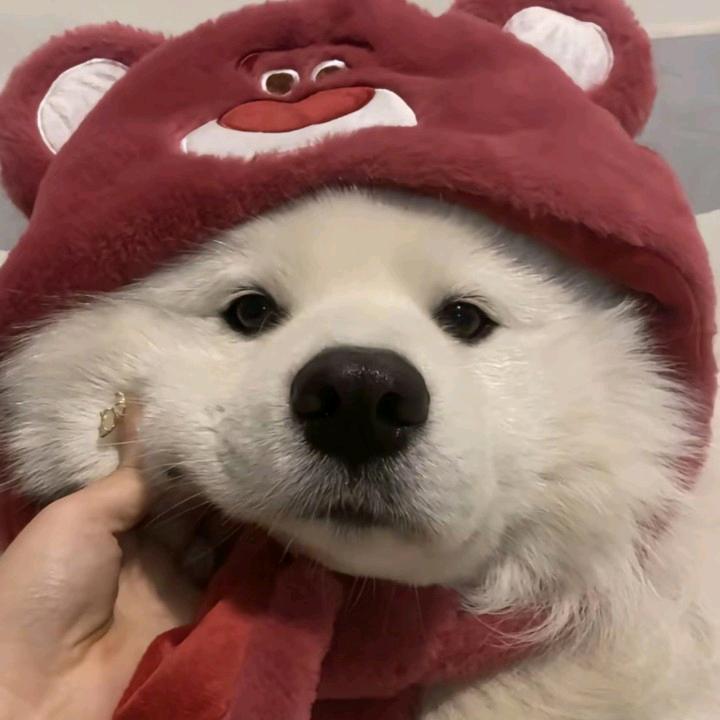 求知