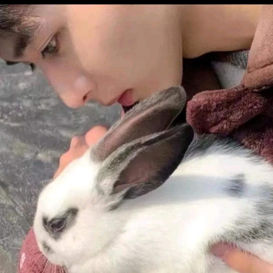 杨哥哥