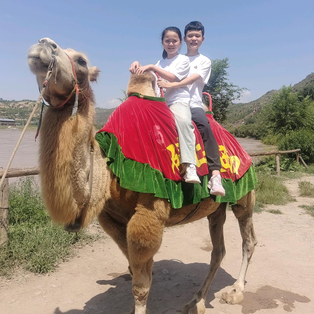 大龍苹果🍎批发零售