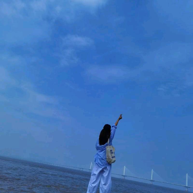 宏达数码客服号