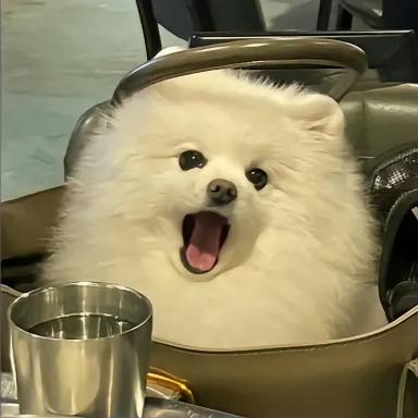 王令