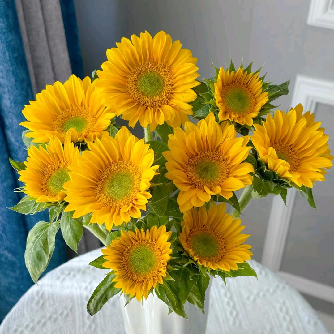 斗南鲜花基地批发零售小刘