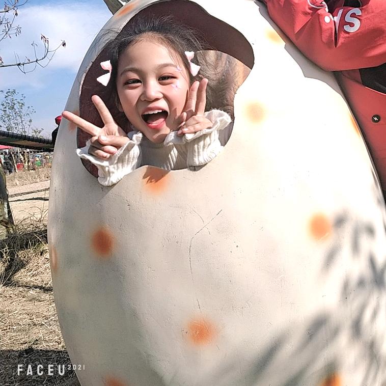 顺风顺水