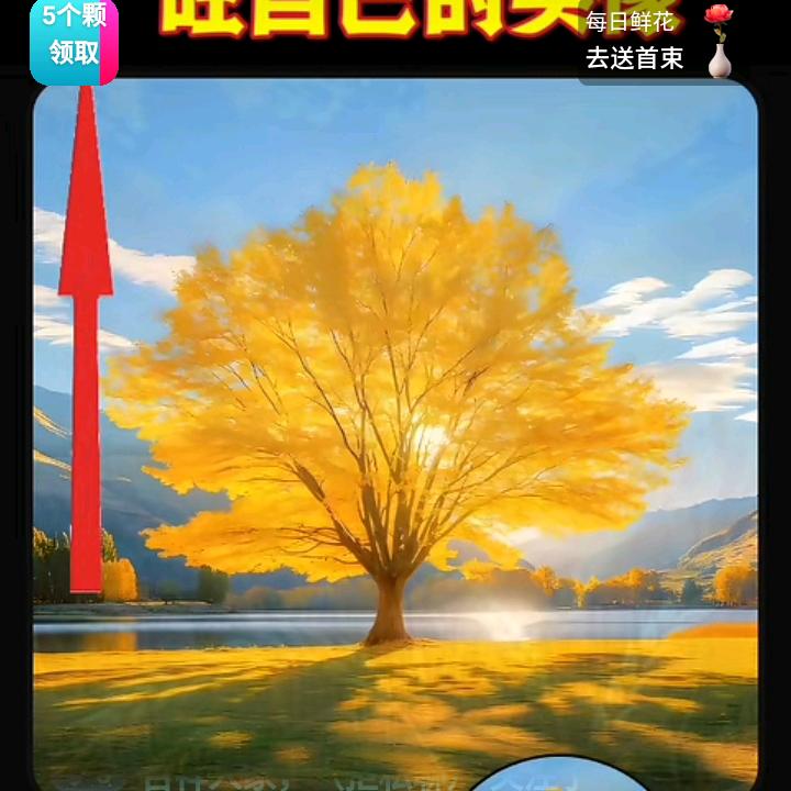 鑫亿