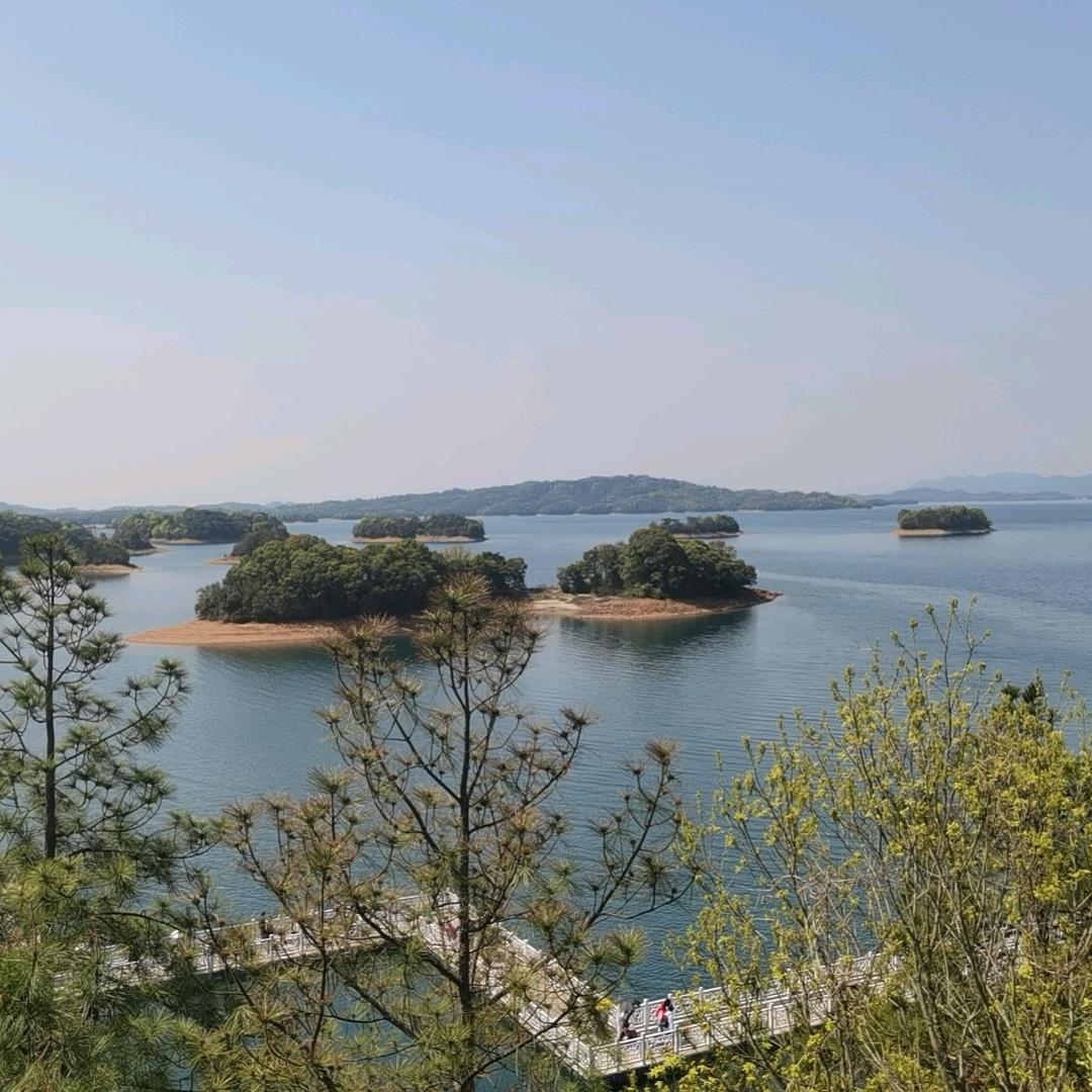 梅家坞315