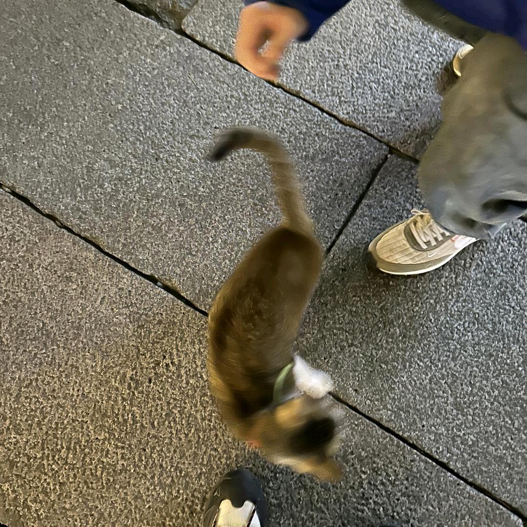 南村群童欺我老无力