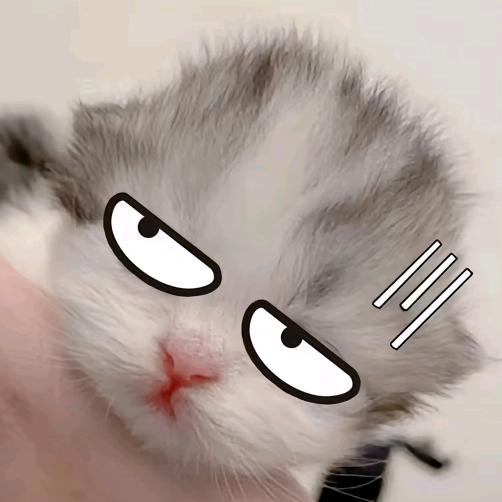 赖活着不如好死