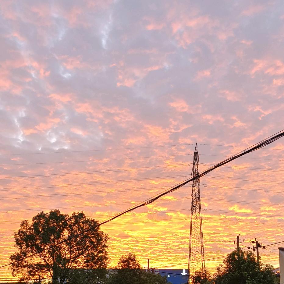 💔❀仅此🕊而已❀‼️