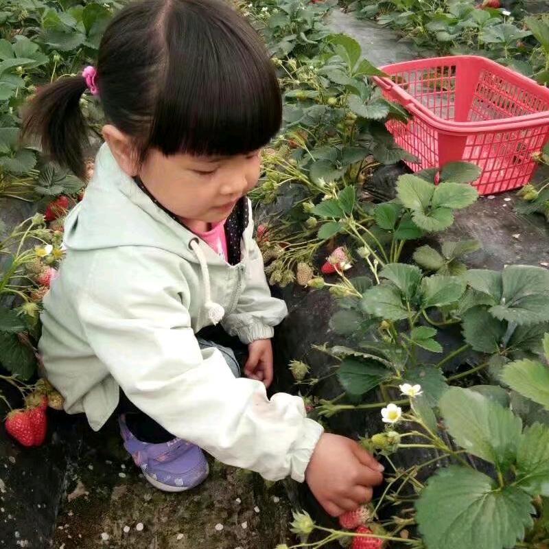人无远虑必有近忧