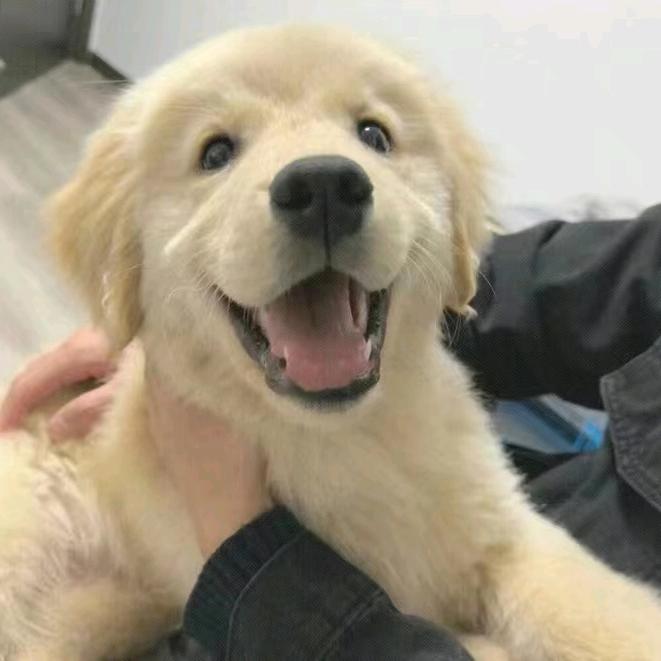 多吃西兰花