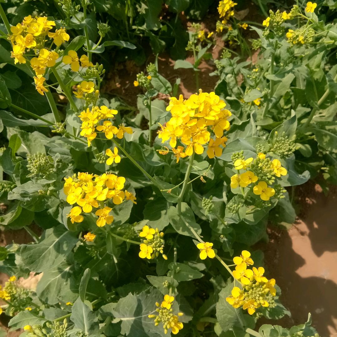 季节温暖眼瞳