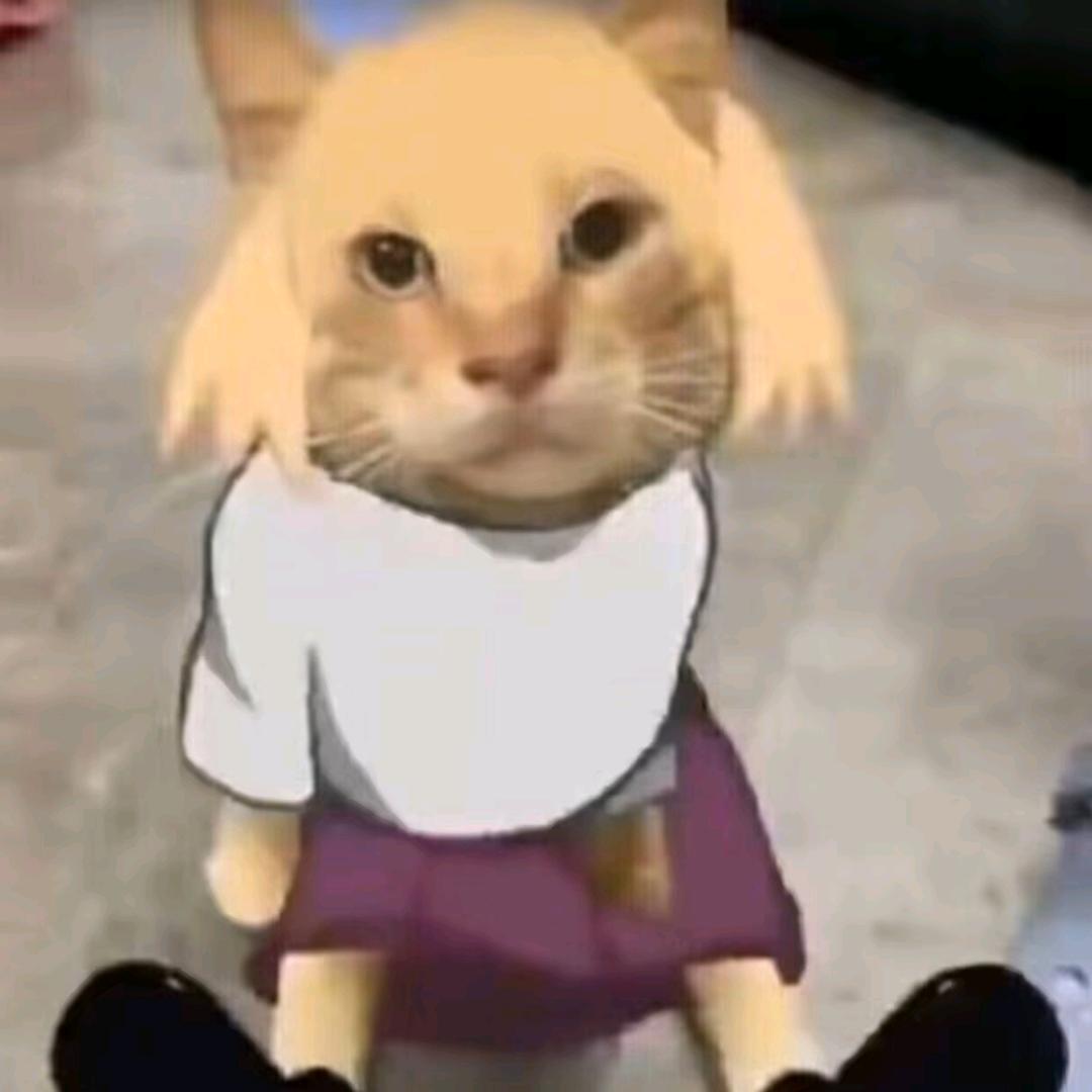 小九